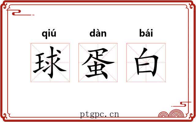 球蛋白
