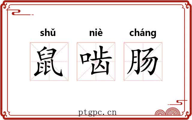 鼠啮肠