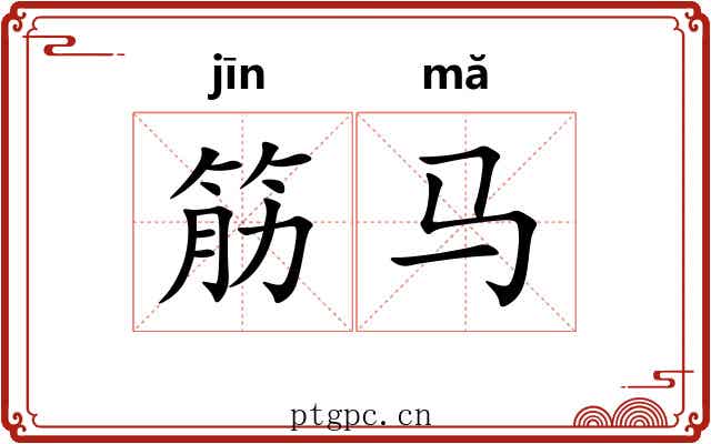 筋马