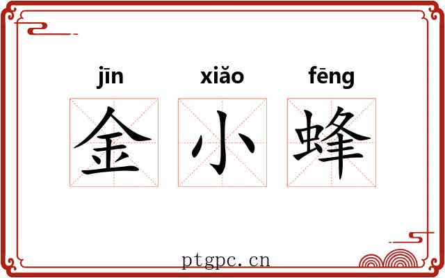 金小蜂 金小蜂