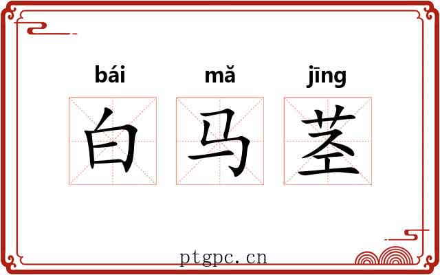 白马茎 白马茎