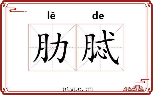 肋脦