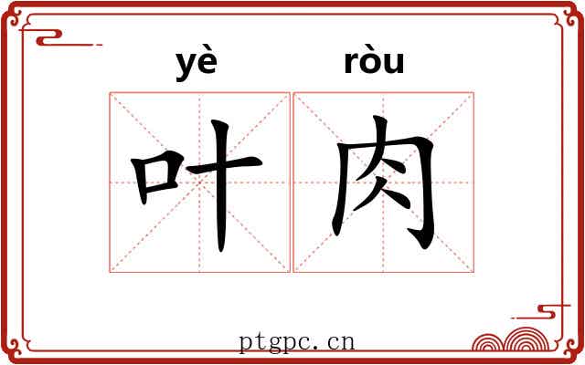 叶肉