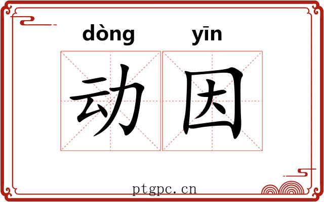 动因