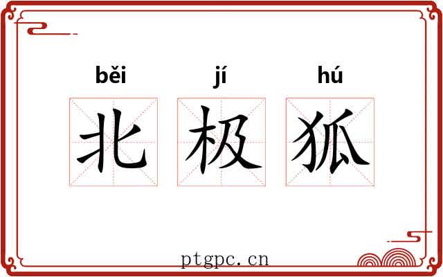 北极狐