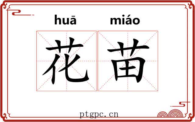 花苗 花苗