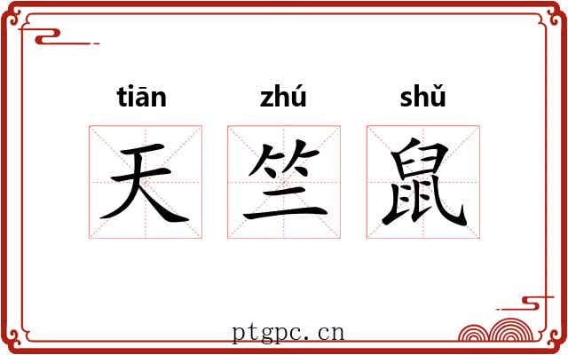 天竺鼠