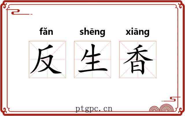 反生香