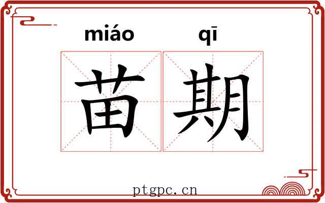 苗期