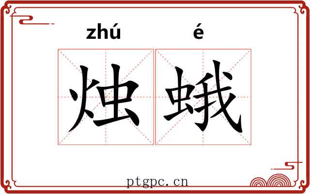烛蛾