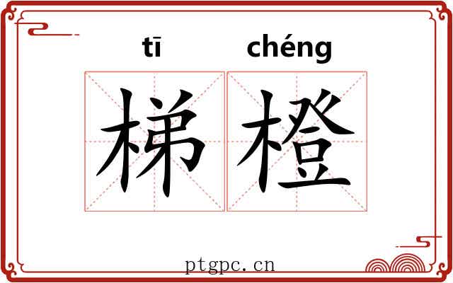 梯橙
