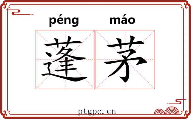 蓬茅 蓬茅