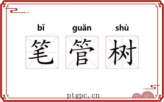 笔管树