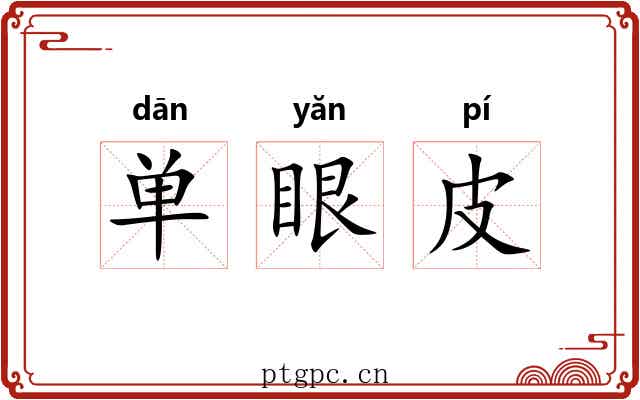 单眼皮