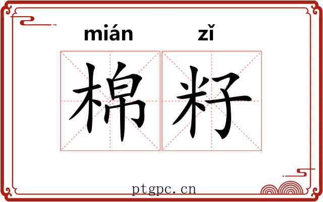 棉籽