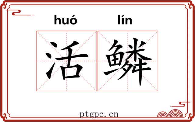 活鳞