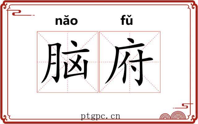 脑府 脑府