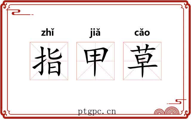 指甲草
