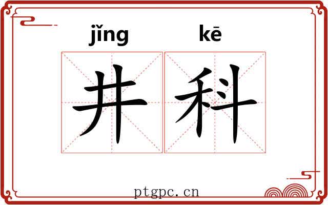 井科