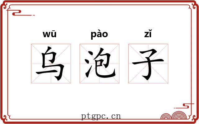 乌泡子