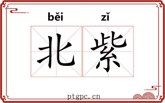 北紫