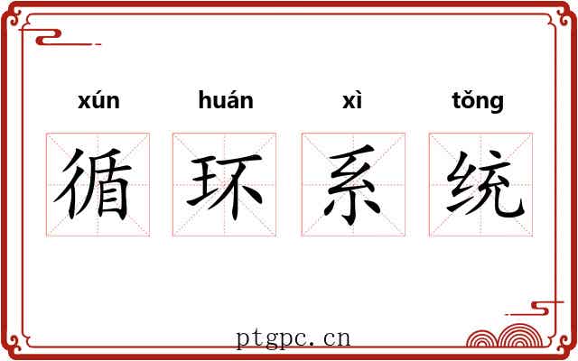 循环系统