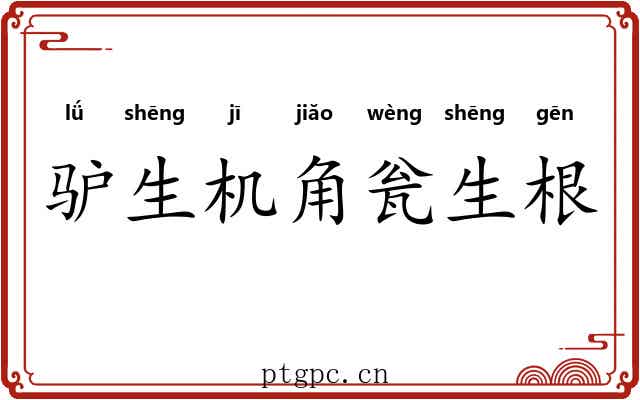 驴生机角瓮生根
