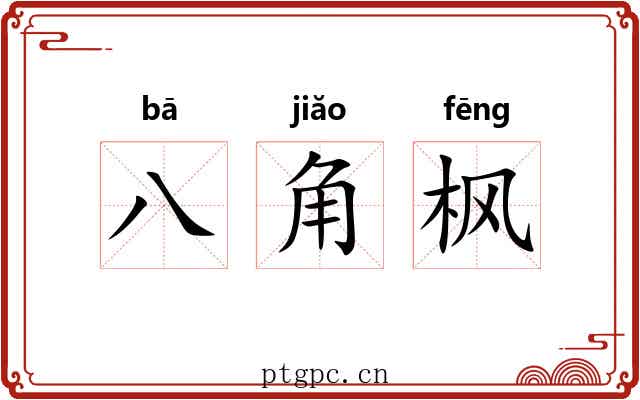 八角枫 八角枫