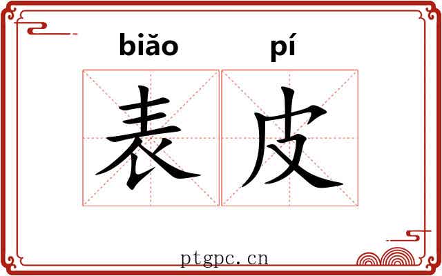 表皮 表皮