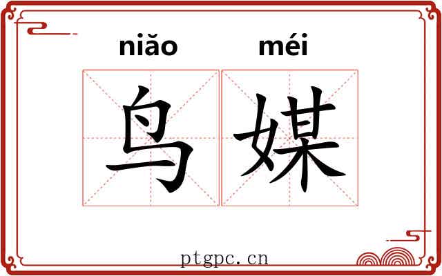 鸟媒