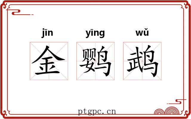 金鹦鹉