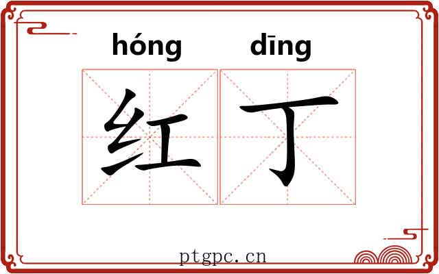 红丁