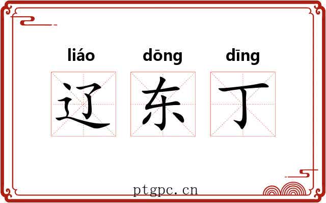辽东丁 辽东丁