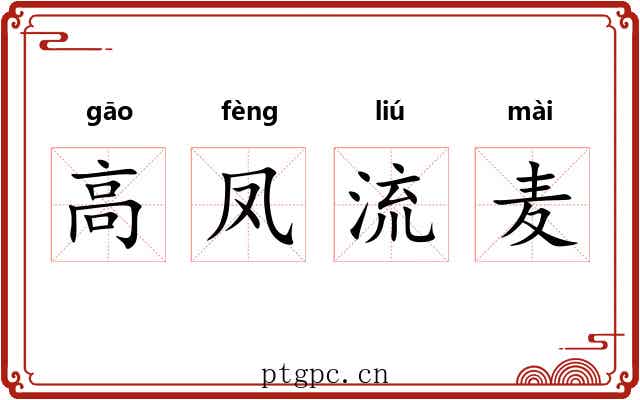 高凤流麦
