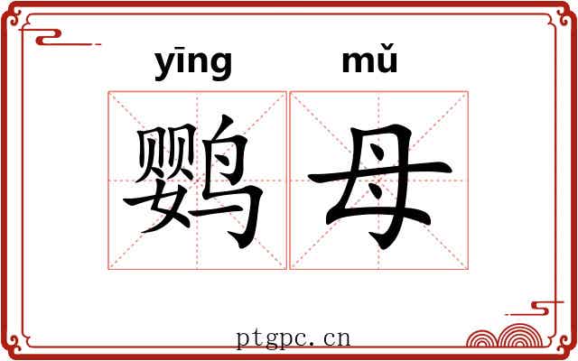 鹦母