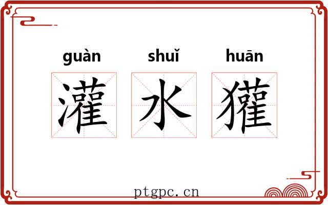 灌水獾 灌水獾