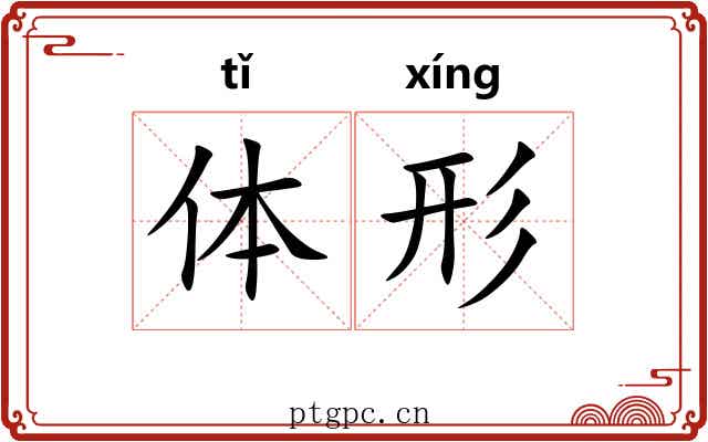 体形