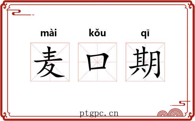 麦口期