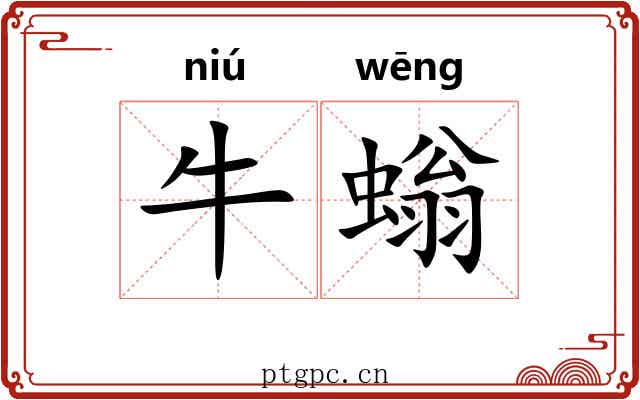 牛螉
