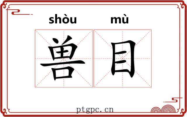兽目 兽目