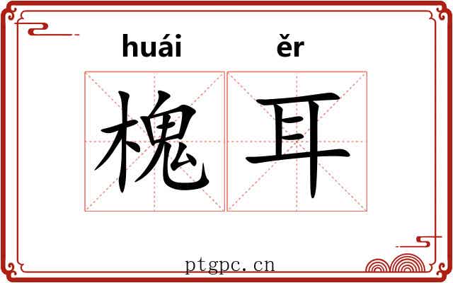 槐耳