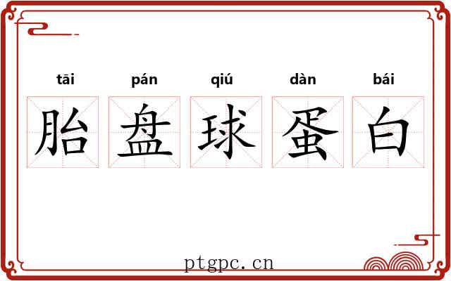 胎盘球蛋白