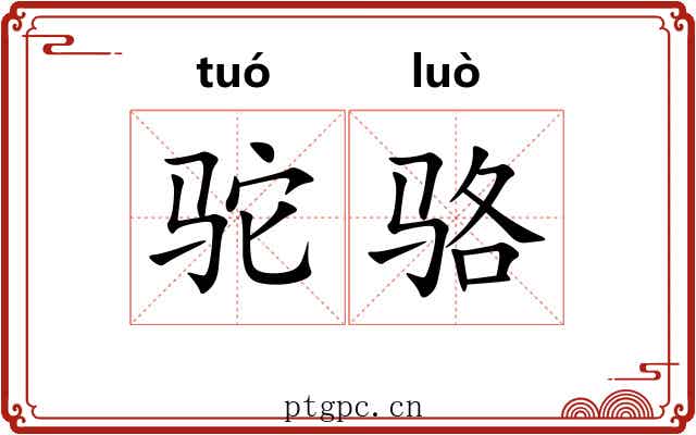 驼骆