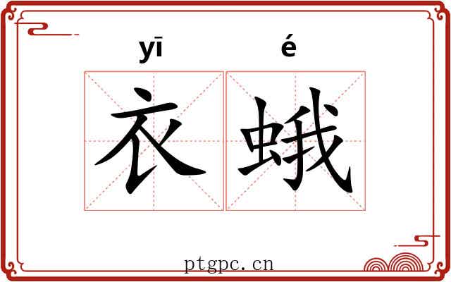 衣蛾 衣蛾