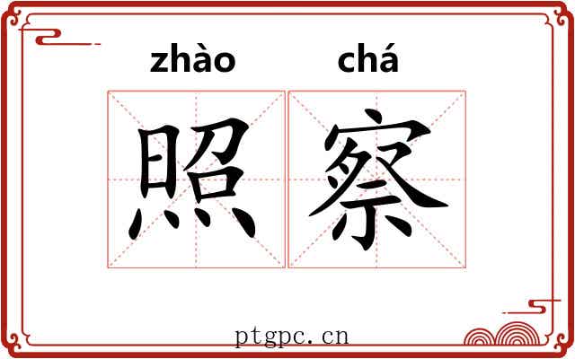 照察
