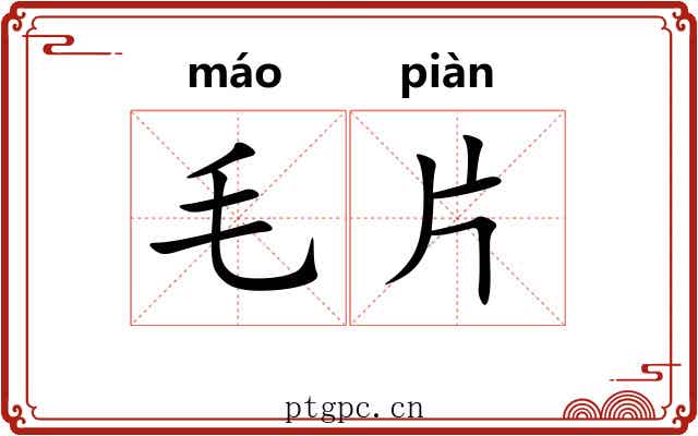 毛片 毛片