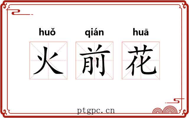 火前花