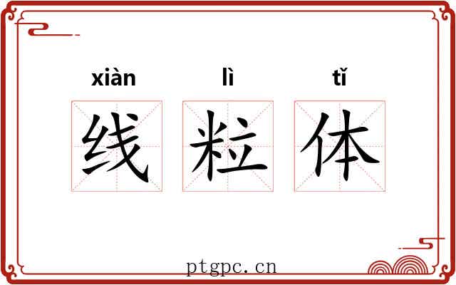 线粒体