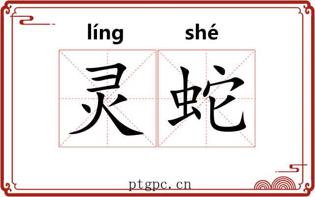 灵蛇