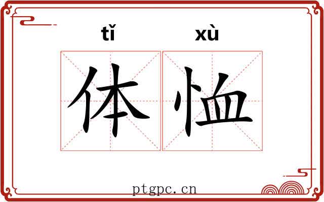体恤